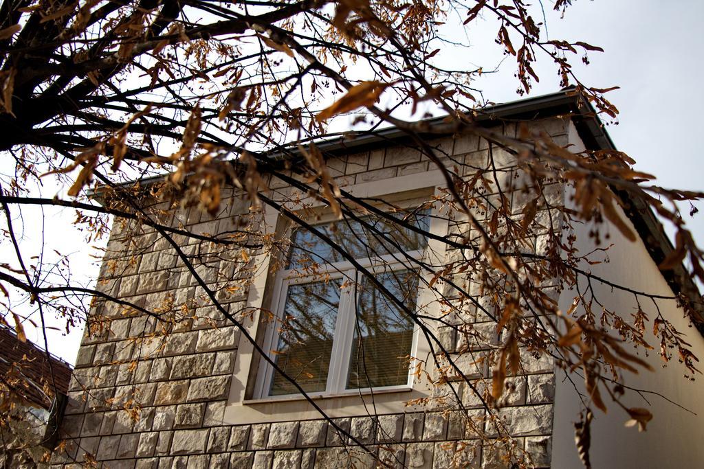 Apartments Matijasevic Nikšić Bagian luar foto